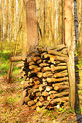 Image showing Firewood