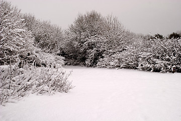 Image showing Winter in sweden