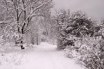 Image showing Winter in sweden