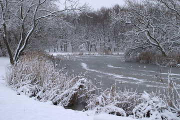 Image showing Winter an snow.