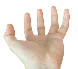 Image showing Man hand.