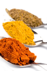 Image showing ground spices