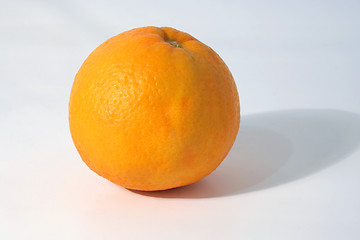 Image showing Orange ...