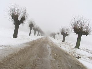 Image showing Winter alley