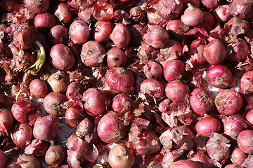 Image showing Onions