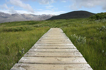 Image showing Skaftafell National Park