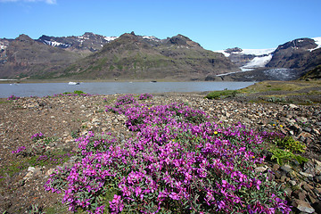 Image showing Iceland