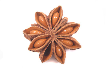 Image showing anise star 