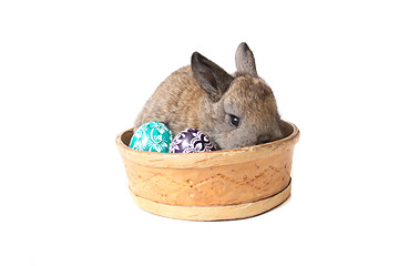 Image showing easter eggs and rabbit