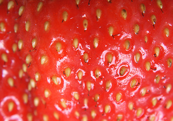 Image showing strawberry background