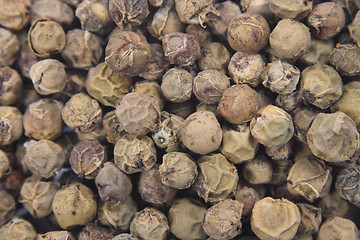 Image showing green peppercorn