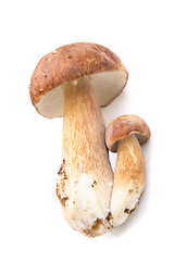 Image showing mushroom