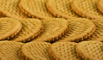 Image showing Scattering of sweet milk cookies