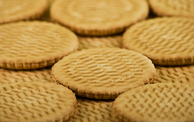 Image showing Scattering of sweet milk cookies