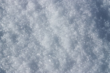 Image showing White powder snow