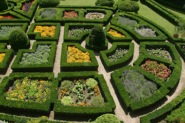 Image showing Ornamental garden