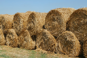 Image showing Hay