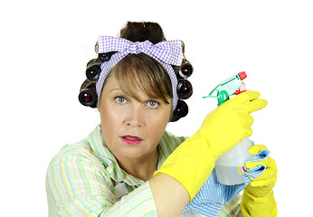 Image showing Spray Bottle Housewife