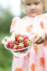 Image showing Strawberries held by girl.