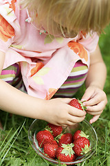 Image showing Little girl holding strawberry.