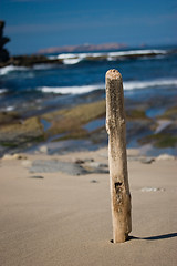 Image showing Beautiful Beach