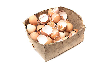 Image showing empty eggs