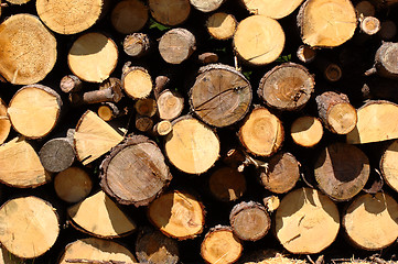 Image showing Pile of lumber