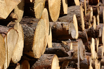 Image showing Pile of lumber