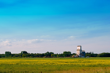 Image showing Prairie Field