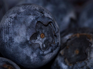 Image showing Blueberry