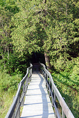 Image showing Wooden walkway