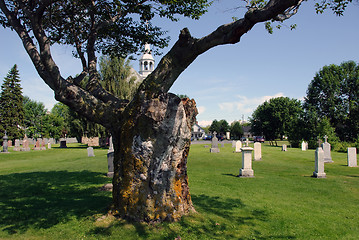 Image showing Cemetery