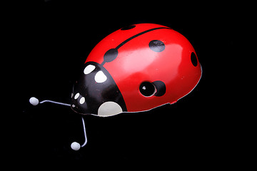 Image showing ladybug toy