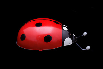 Image showing ladybug toy