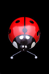 Image showing ladybug toy