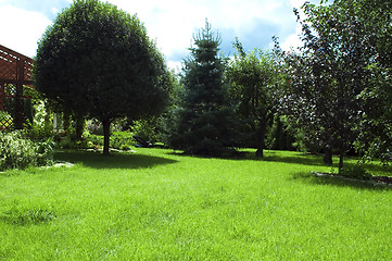 Image showing garden. summer scenic