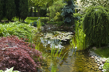 Image showing peaceful garden. summertime