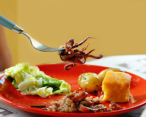 Image showing Appetizing squid on fork