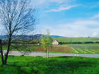 Image showing Germany Countryside