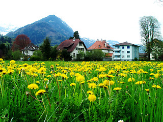 Image showing Switzerland Mountain Countryside