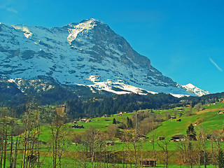 Image showing Snow Mountain