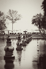 Image showing Asian water garden.