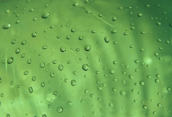 Image showing Droplets