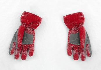 Image showing Gloves