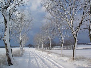 Image showing Swedish winter