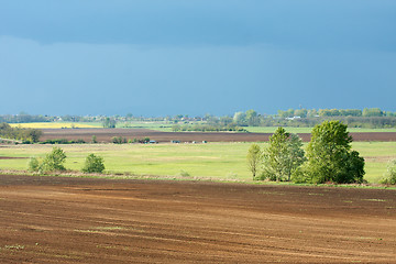 Image showing Fields