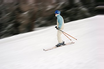 Image showing Ski