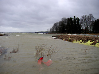 Image showing Boots in water