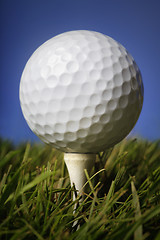 Image showing Golf ball in grass