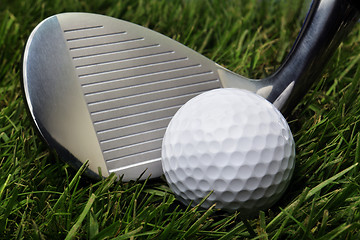 Image showing Golf ball in grass